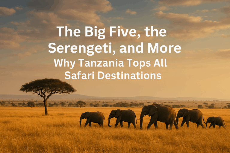 The Big Five, the Serengeti, and More: Why Tanzania Tops All Safari Destinations Big Five in Tanzania